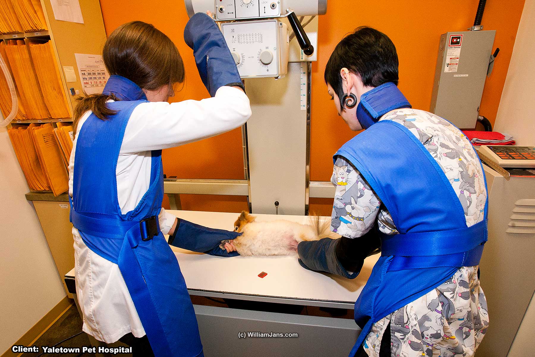 11-SLIDER-MEDICAL-(web 1800)-03