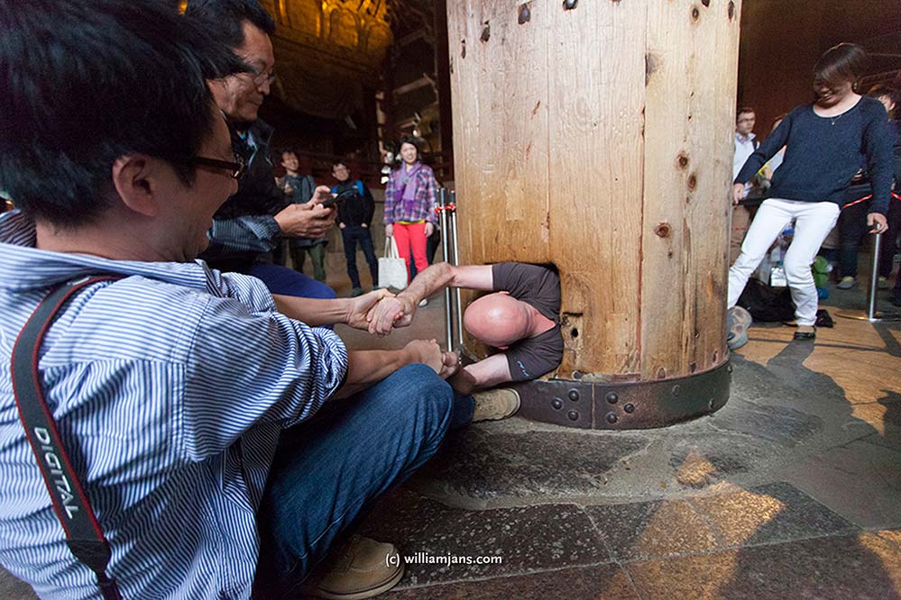 jpn-0412-30-13718-nara-todai-ji-daibutsuden-wrj-go-through-nostril