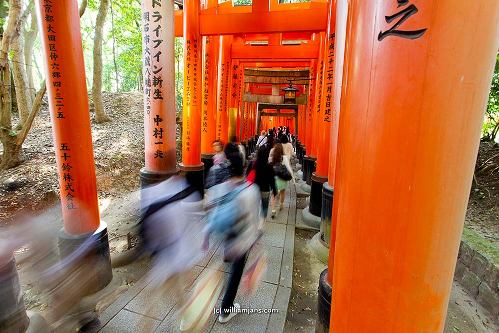 jpn-0508-56-20291-inari-blurr-through-gates